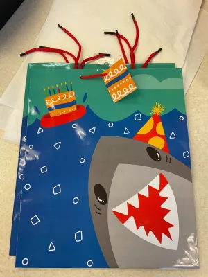 Birthday GIft Bags for Kids of all ages
