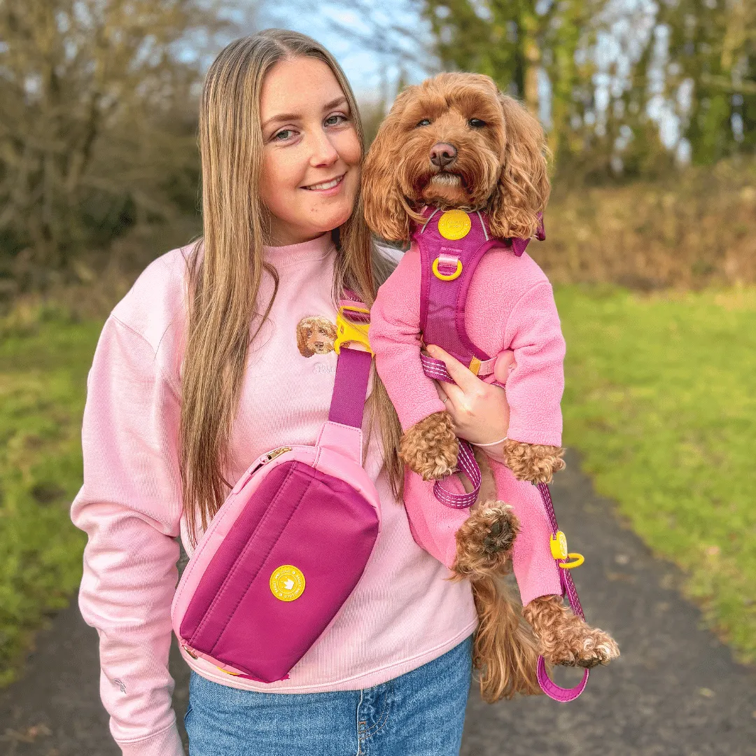 Magnetic Snap Dog Walking Bum Bag - We're Jammin'