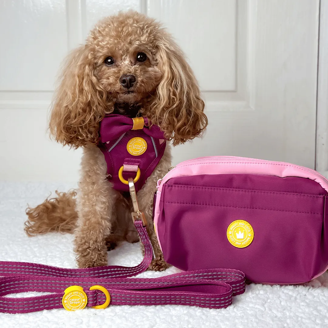 Magnetic Snap Dog Walking Bum Bag - We're Jammin'