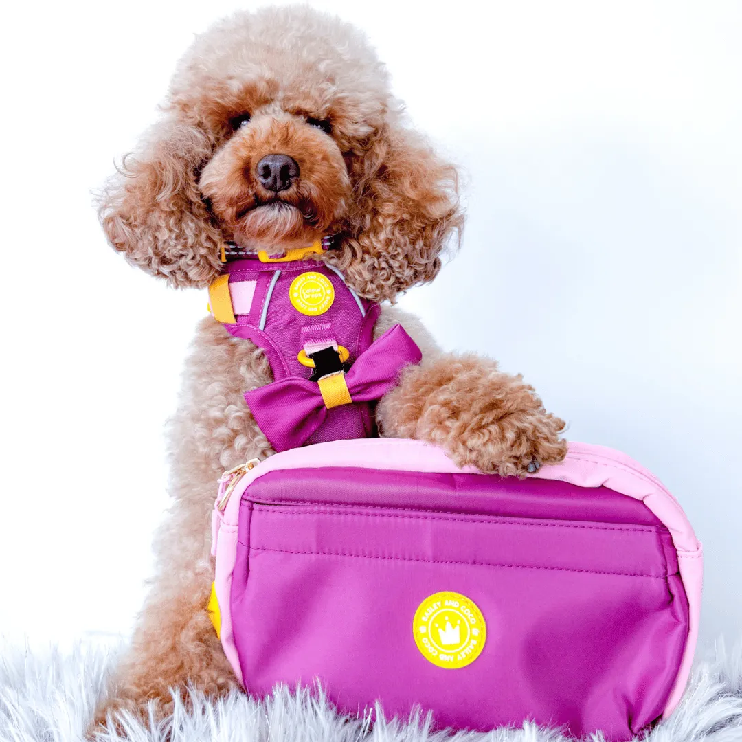 Magnetic Snap Dog Walking Bum Bag - We're Jammin'