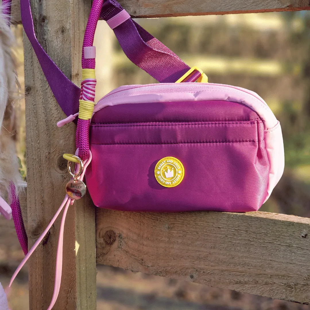 Magnetic Snap Dog Walking Bum Bag - We're Jammin'