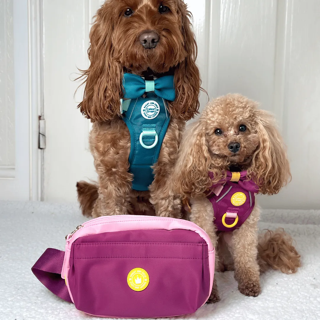 Magnetic Snap Dog Walking Bum Bag - We're Jammin'
