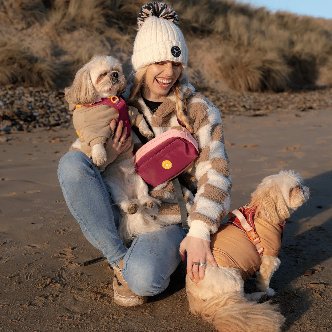 Magnetic Snap Dog Walking Bum Bag - We're Jammin'