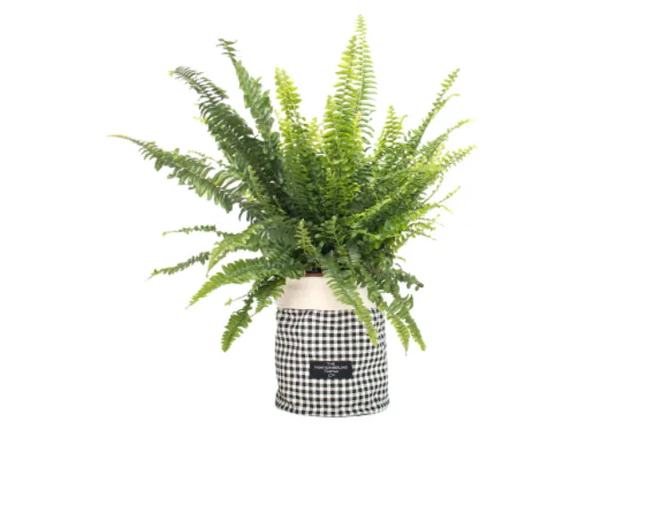 Pot Bag